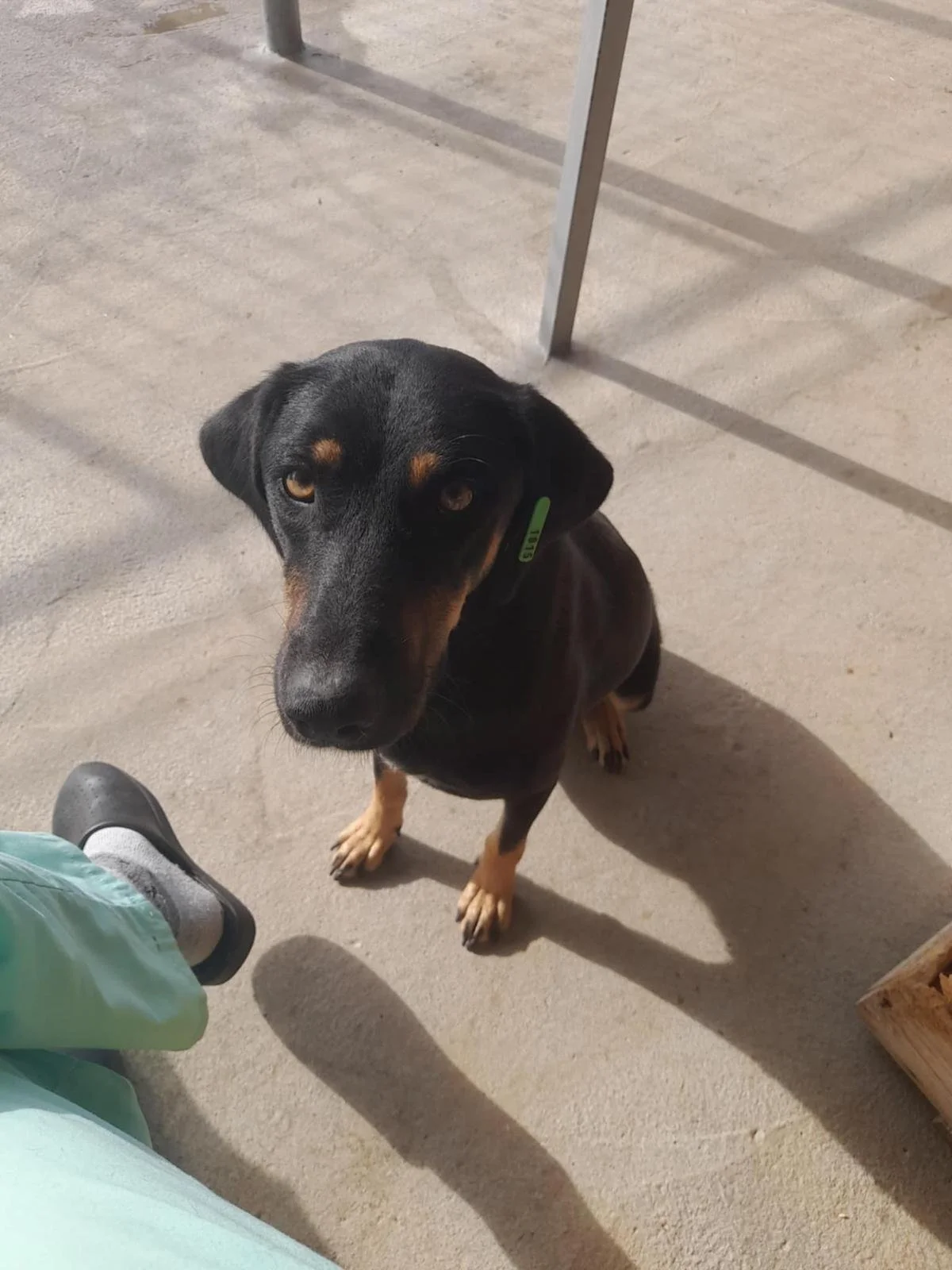 WhatsApp Image 2026-01-08 at 07.53.32 (2).jpeg