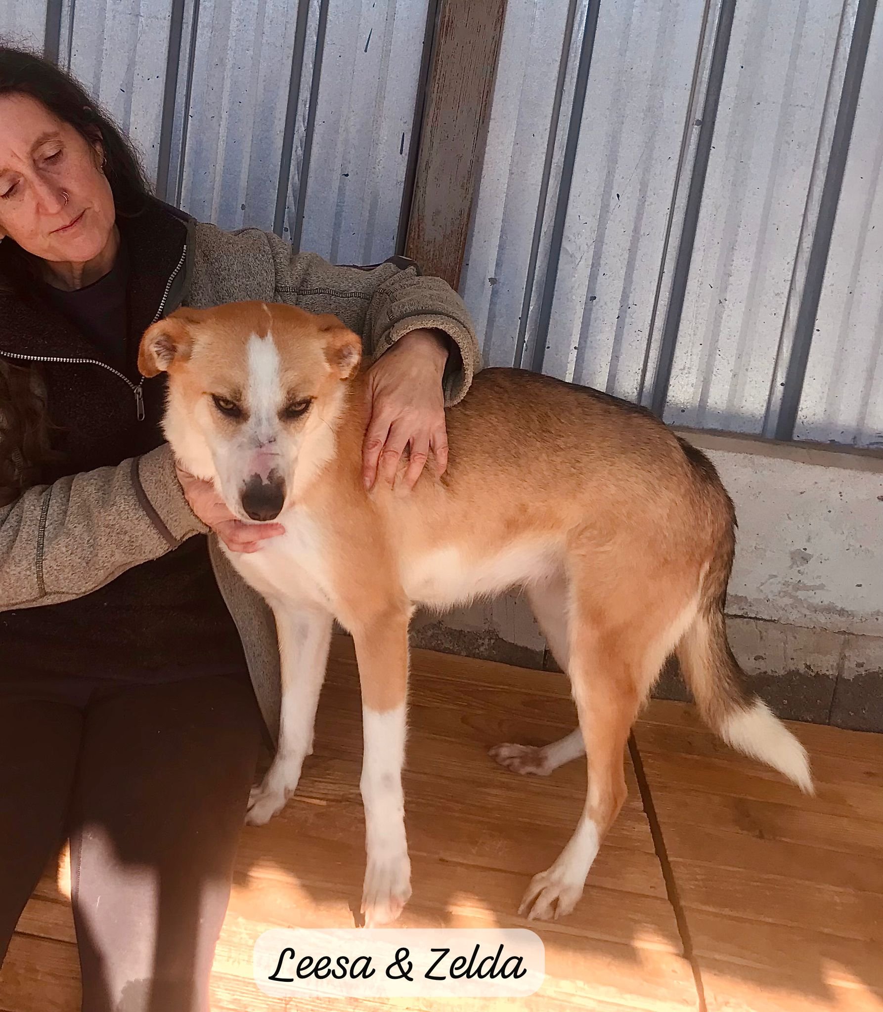 WhatsApp Image 2026-03-05 at 10.15.04 (1).jpeg