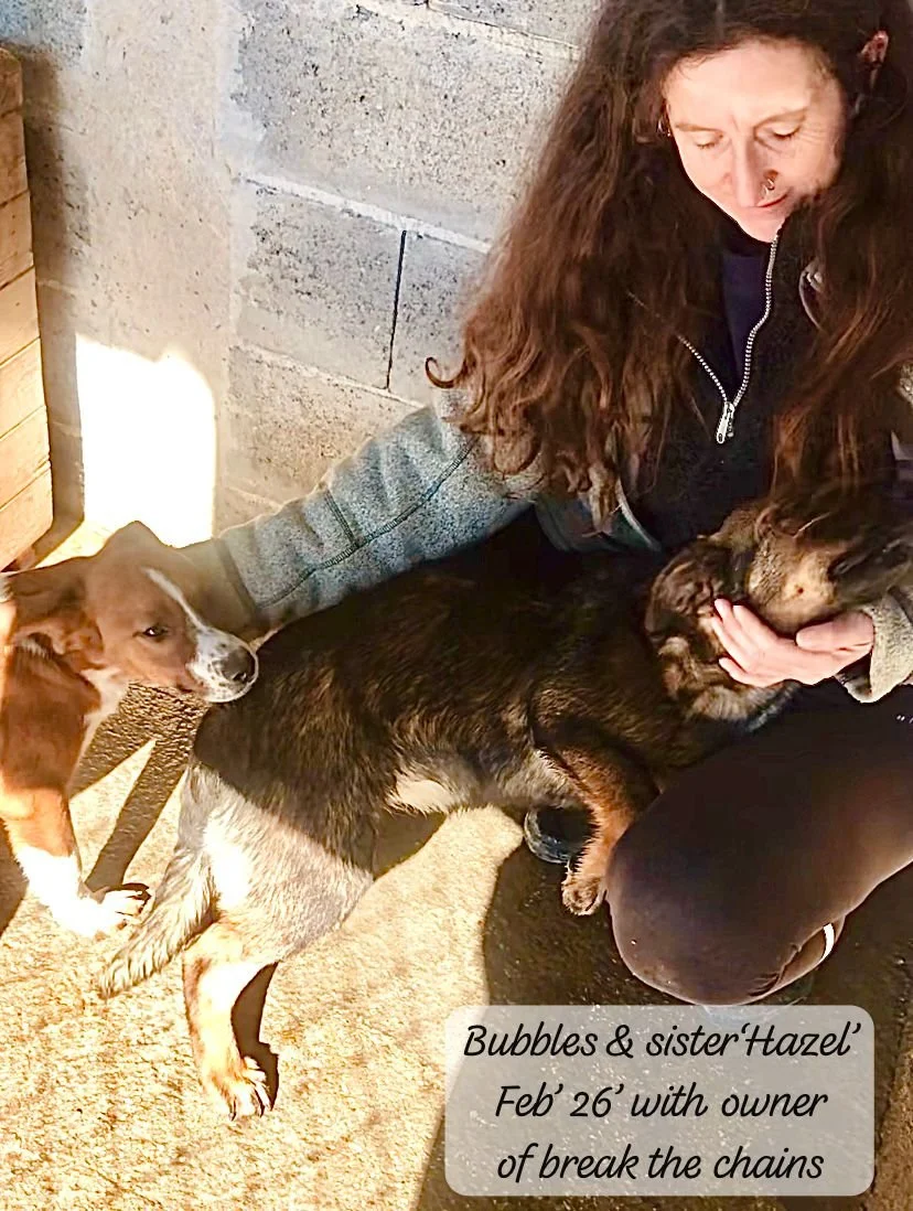 WhatsApp Image 2026-03-17 at 16.08.49 (4).jpeg