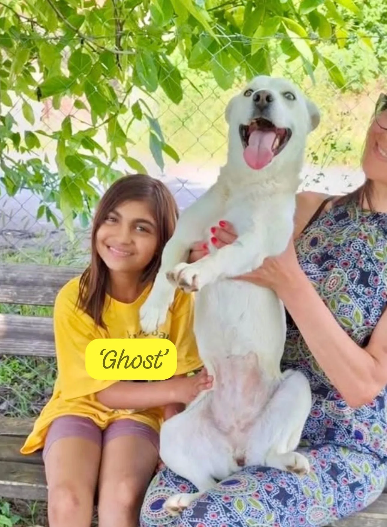Ghost (Reserved STC)