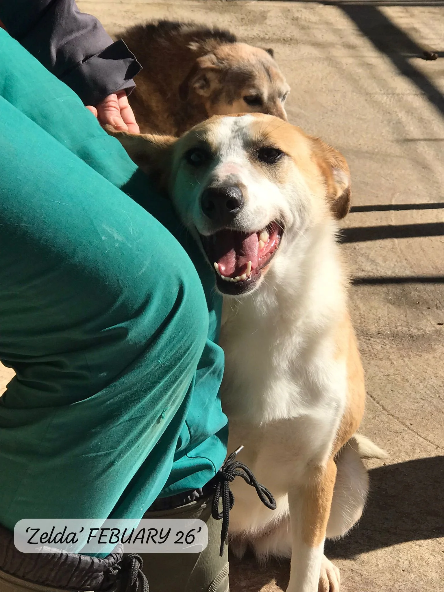 WhatsApp Image 2026-03-05 at 10.18.12 (2).jpeg