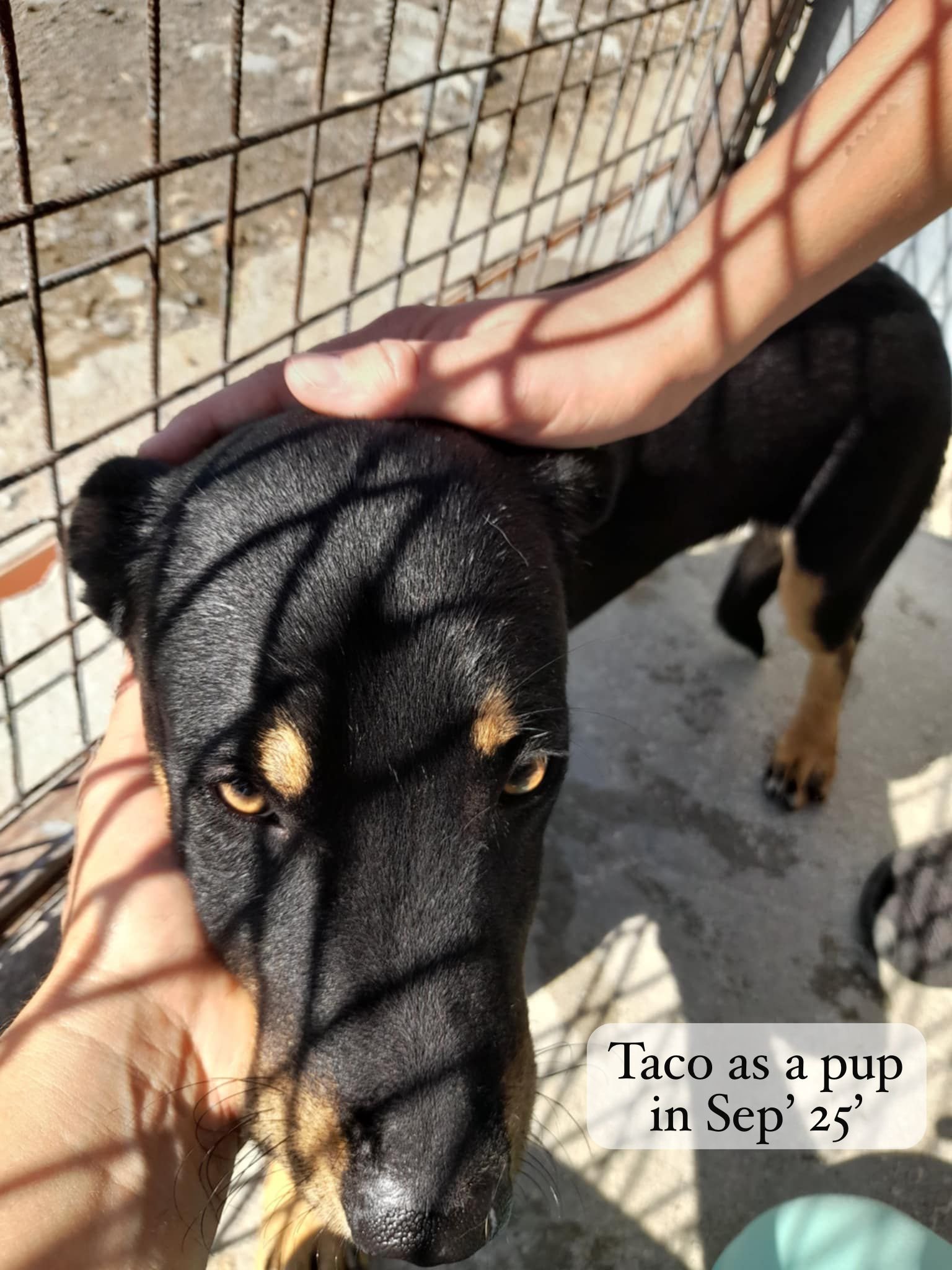 WhatsApp Image 2026-03-06 at 15.18.22 (3).jpeg