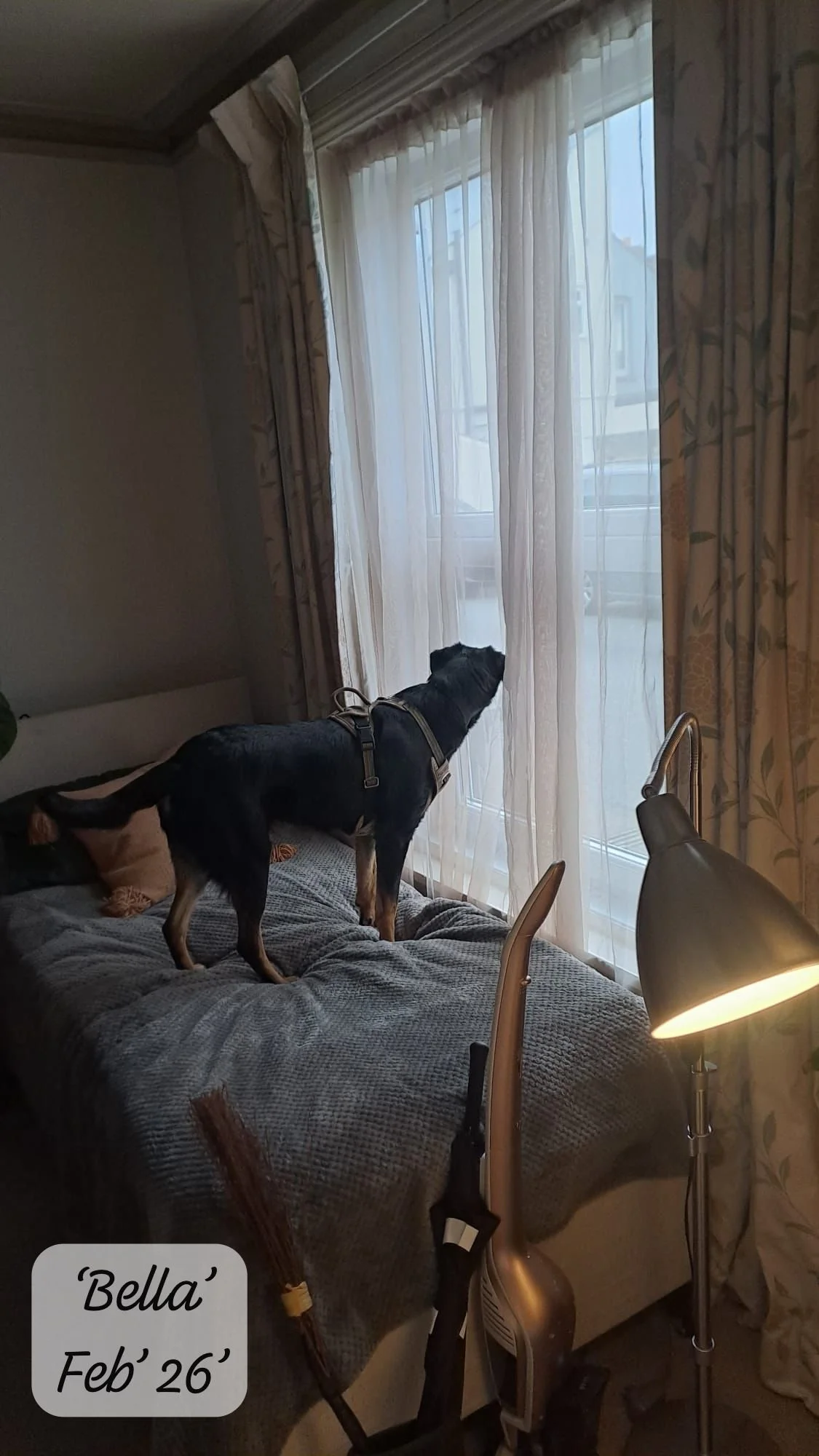 WhatsApp Image 2026-02-27 at 11.48.54 (2).jpeg