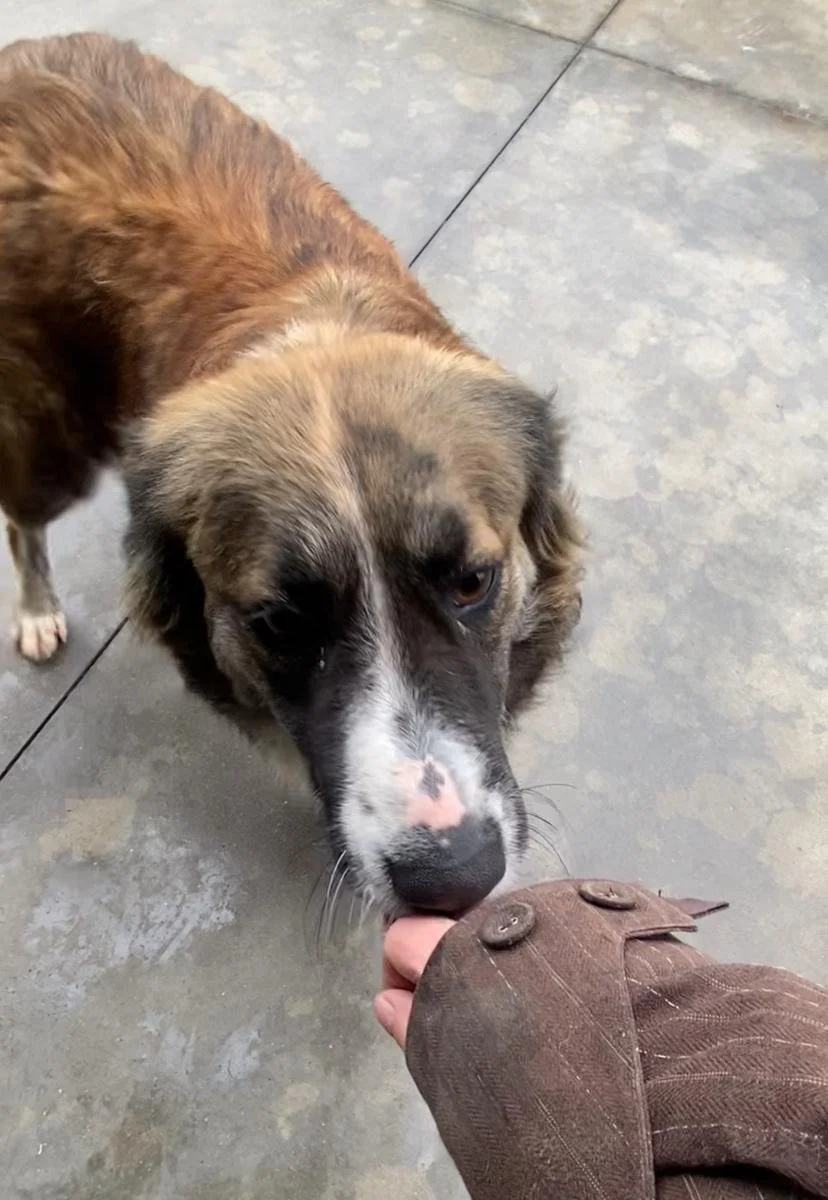 WhatsApp Image 2026-01-07 at 12.17.213.jpeg