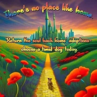 WhatsApp Image 2026-02-08 at 10.20.00.jpeg