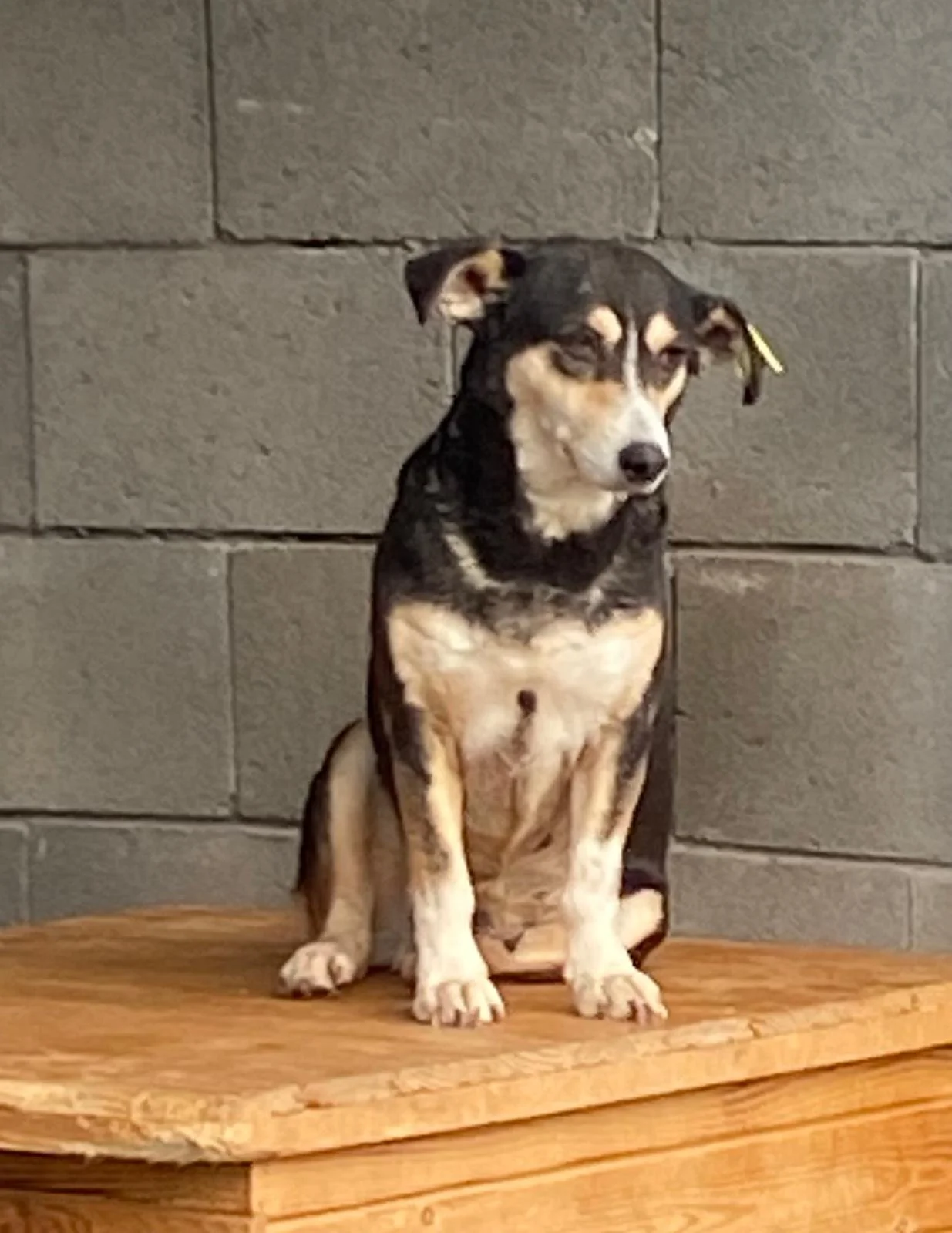 WhatsApp Image 2026-01-07 at 12.04.326.jpeg