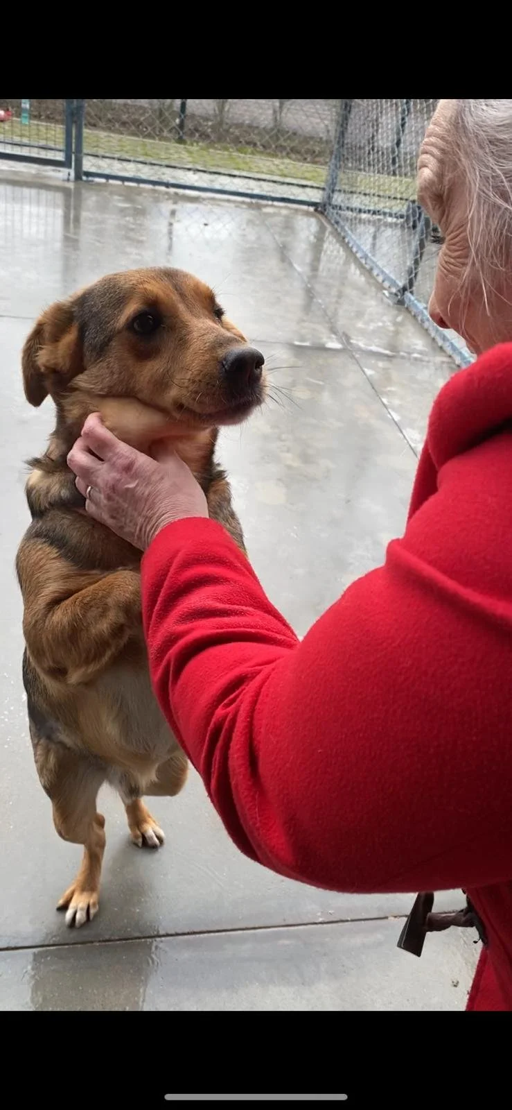 WhatsApp Image 2026-01-06 at 06.02.25.jpeg