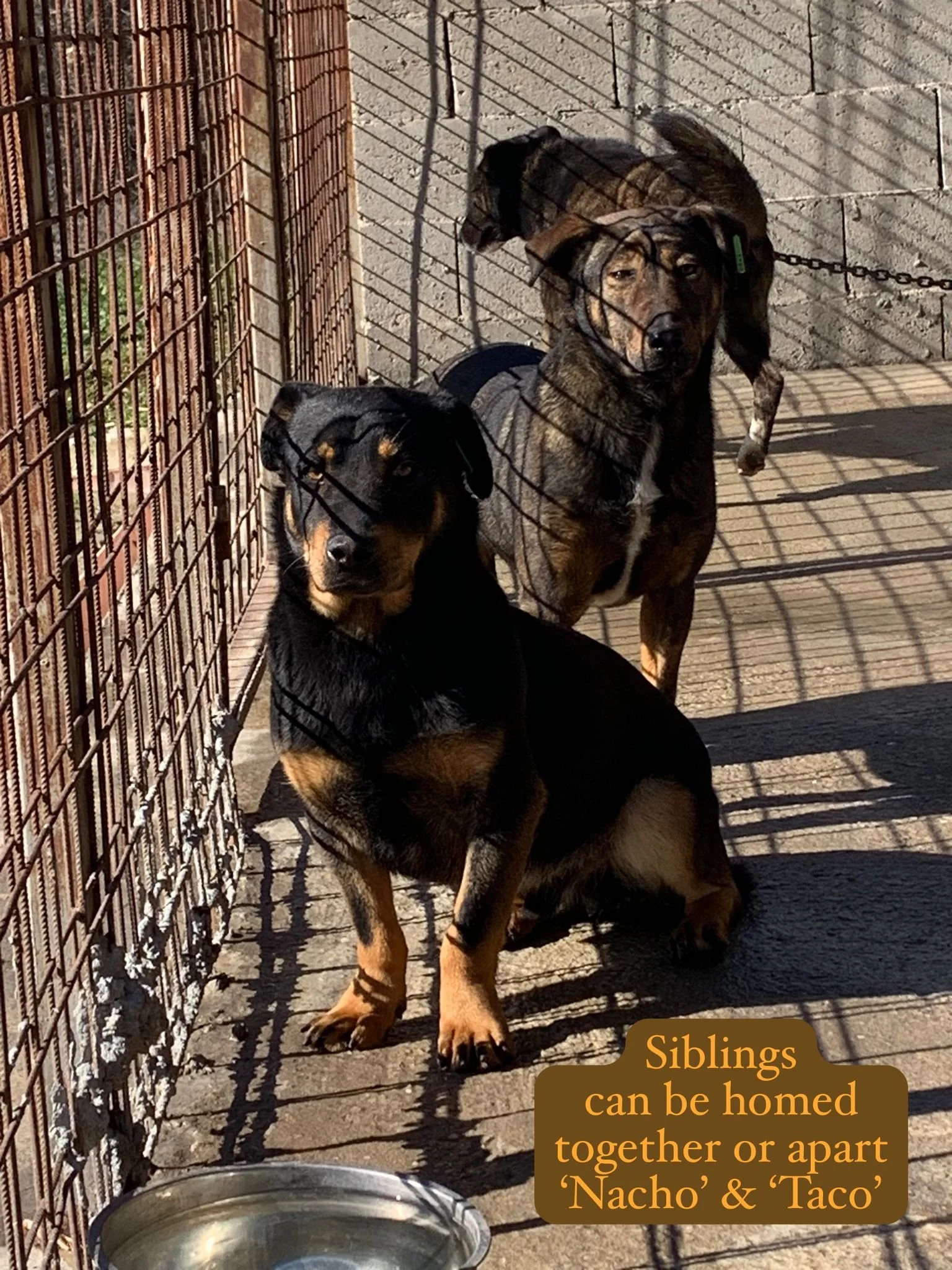 WhatsApp Image 2026-03-06 at 15.14.44.jpeg