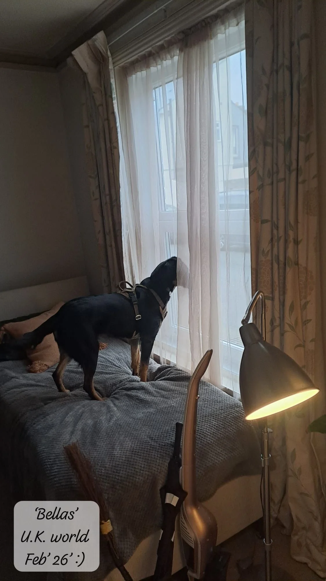 WhatsApp Image 2026-02-27 at 11.48.55.jpeg