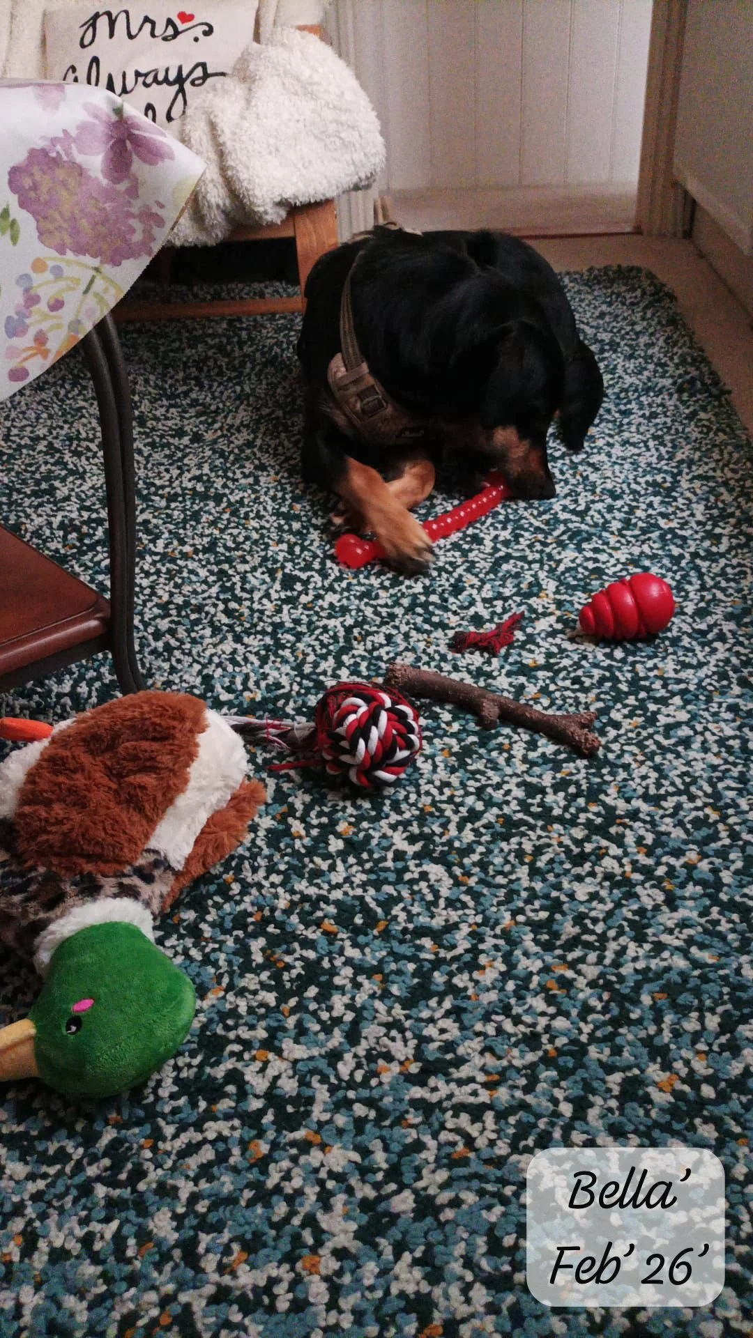 WhatsApp Image 2026-02-27 at 11.51.35 (2).jpeg