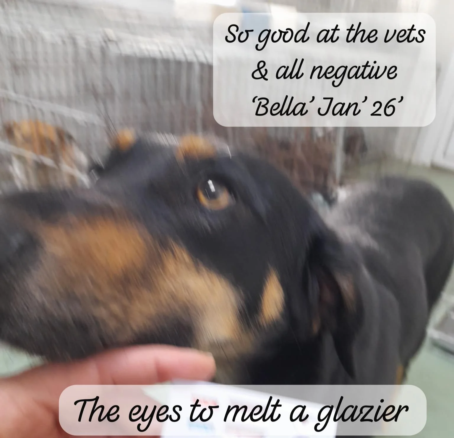 WhatsApp Image 2026-02-10 at 14.27.54.jpeg