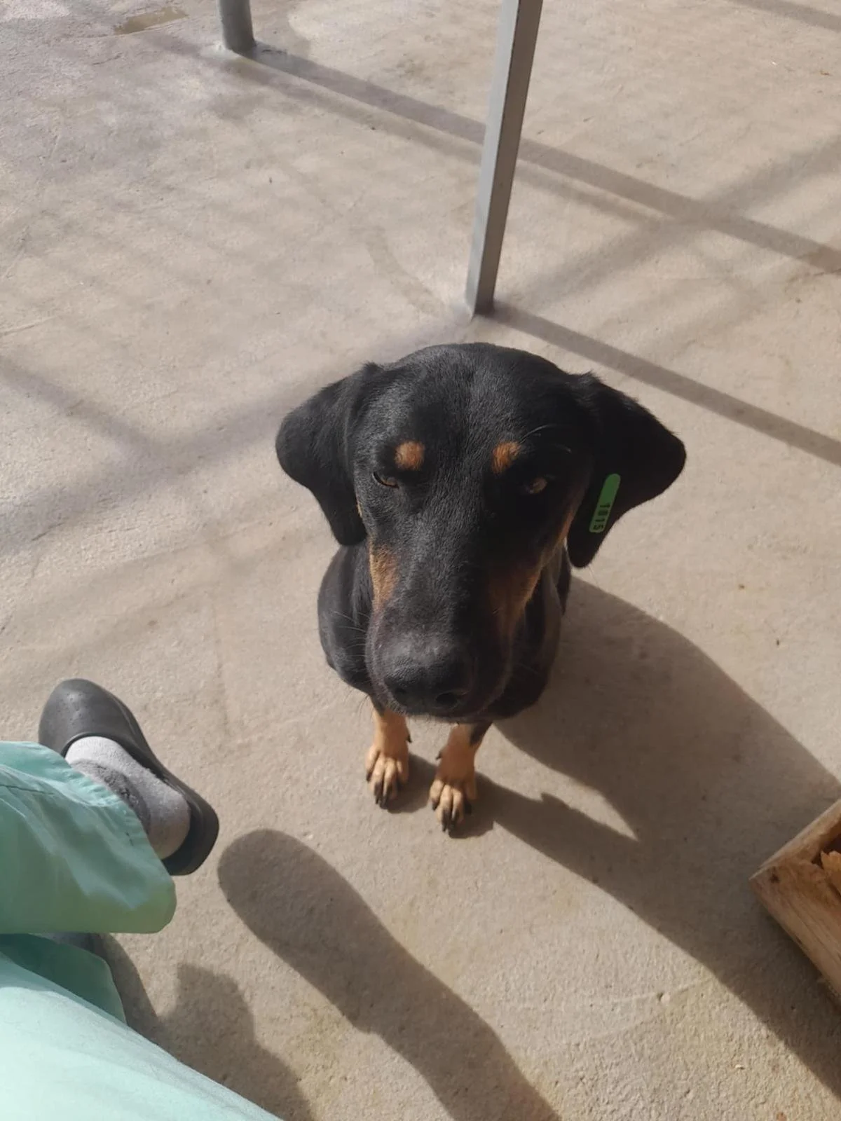 WhatsApp Image 2026-01-08 at 07.53.33 (1).jpeg