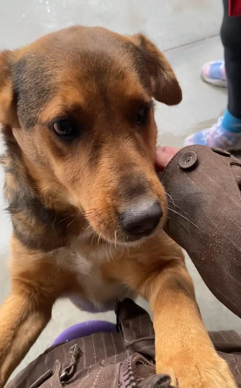 WhatsApp Image 2026-01-06 at 06.02.26.jpeg