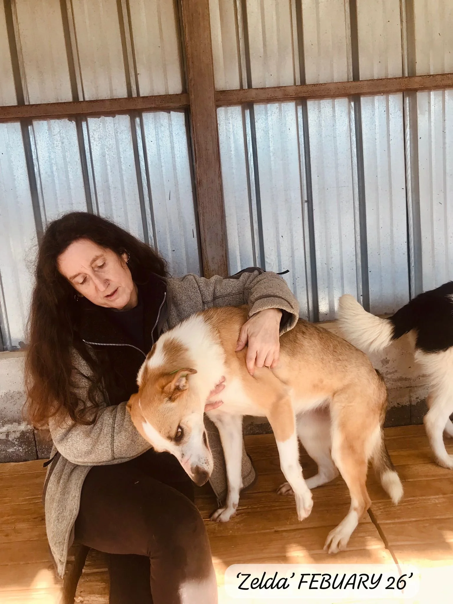 WhatsApp Image 2026-03-05 at 10.15.05.jpeg