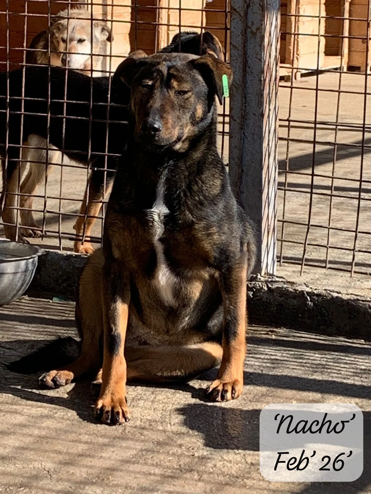 WhatsApp Image 2026-03-06 at 15.27.08 (1).jpeg