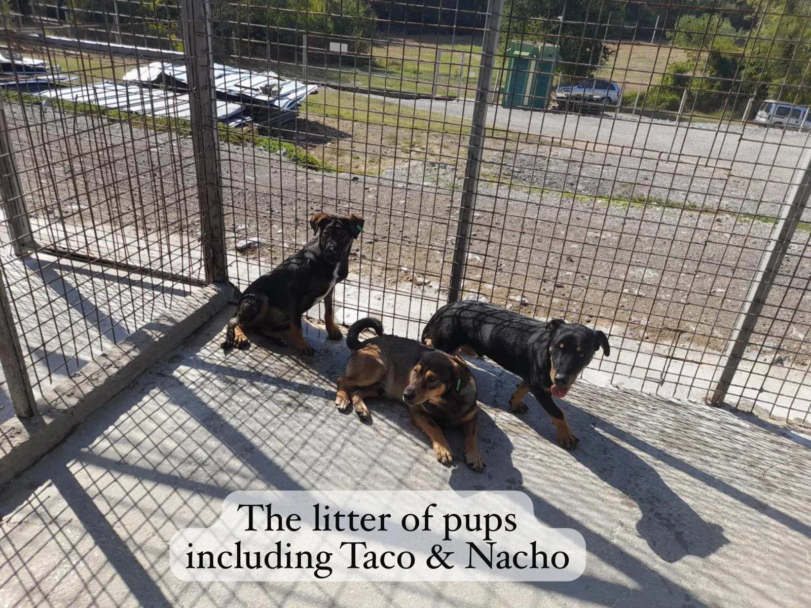 WhatsApp Image 2026-03-06 at 15.23.52.jpeg