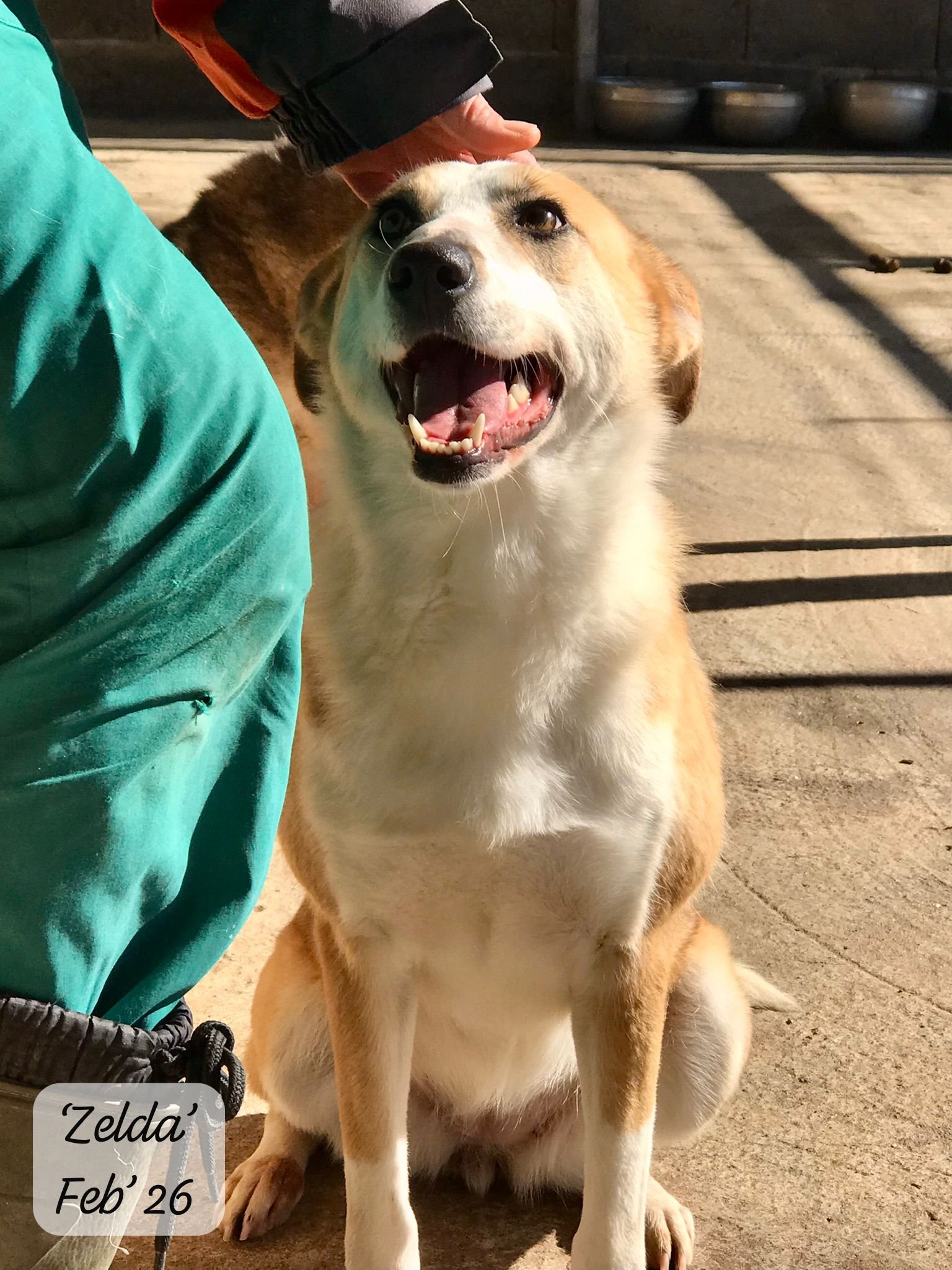 WhatsApp Image 2026-03-05 at 10.18.13 (1).jpeg