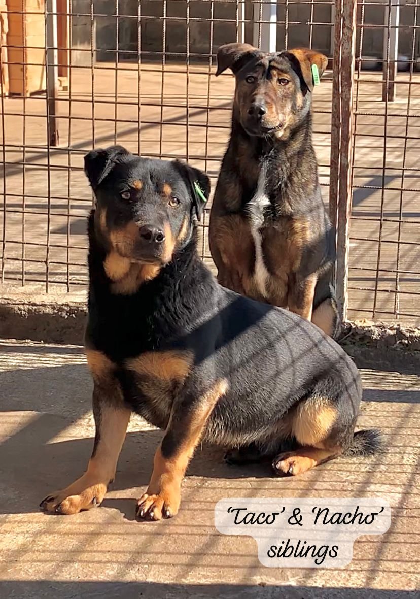 WhatsApp Image 2026-03-06 at 15.14.42.jpeg