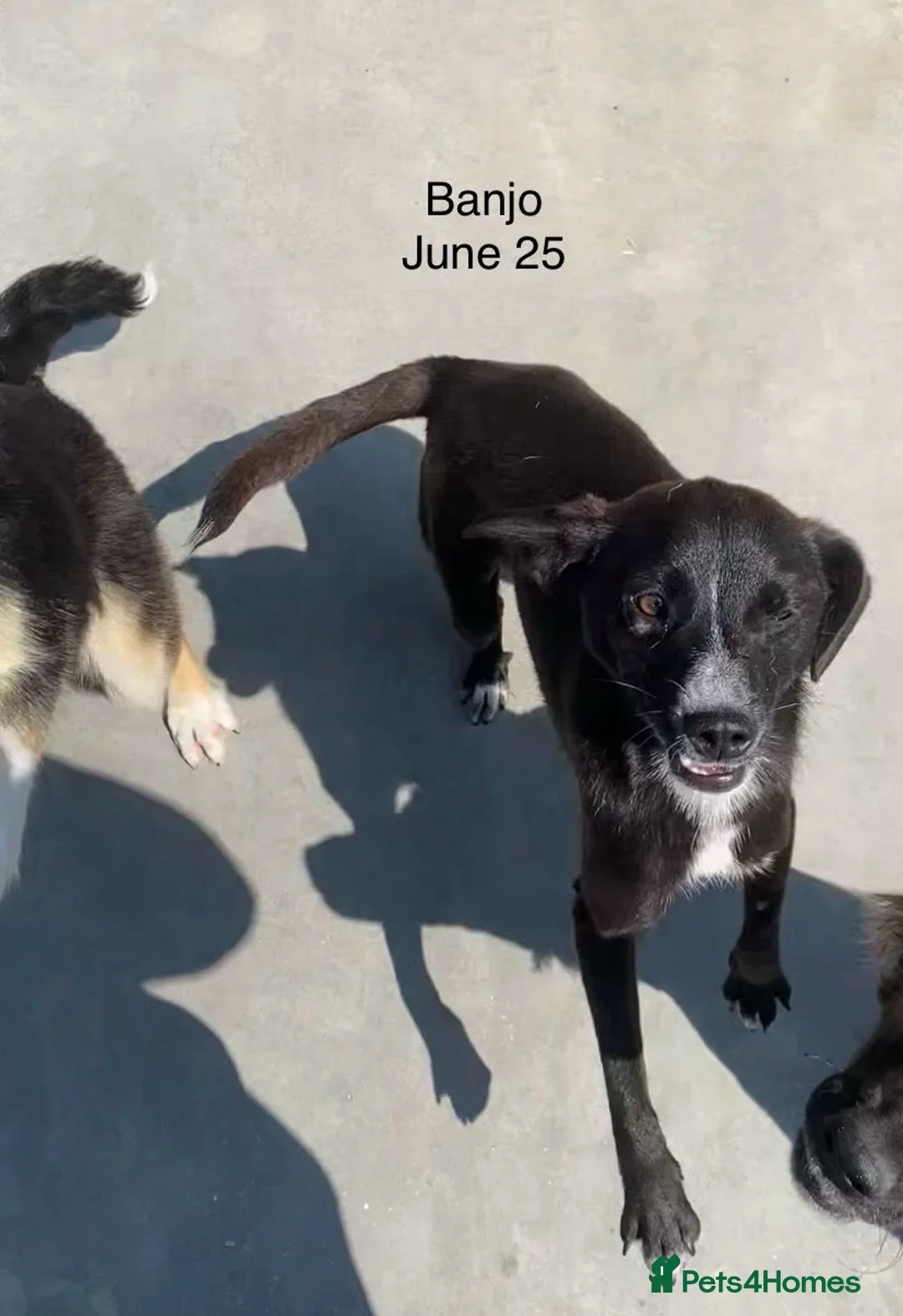 originalImage (16).webp