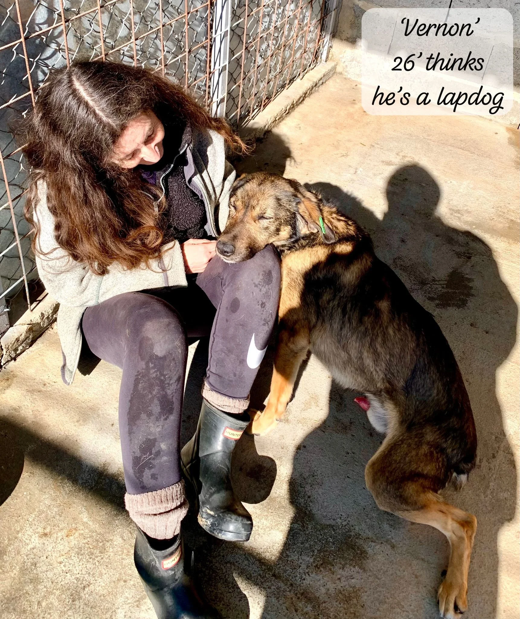 WhatsApp Image 2026-03-20 at 14.37.27.jpeg