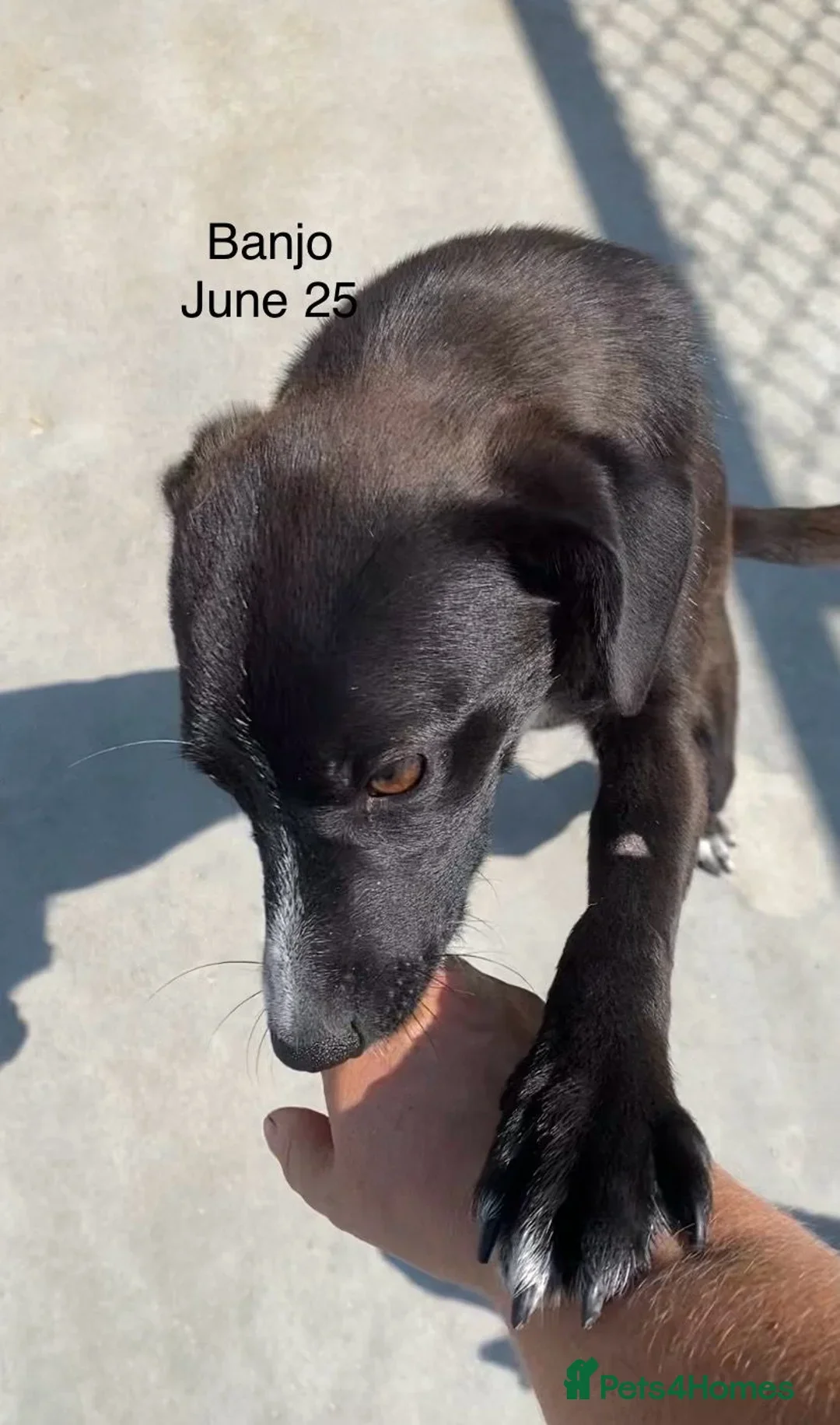 originalImage (12).webp