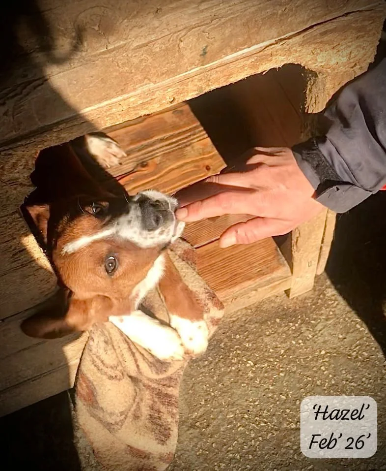 WhatsApp Image 2026-03-17 at 16.12.40.jpeg