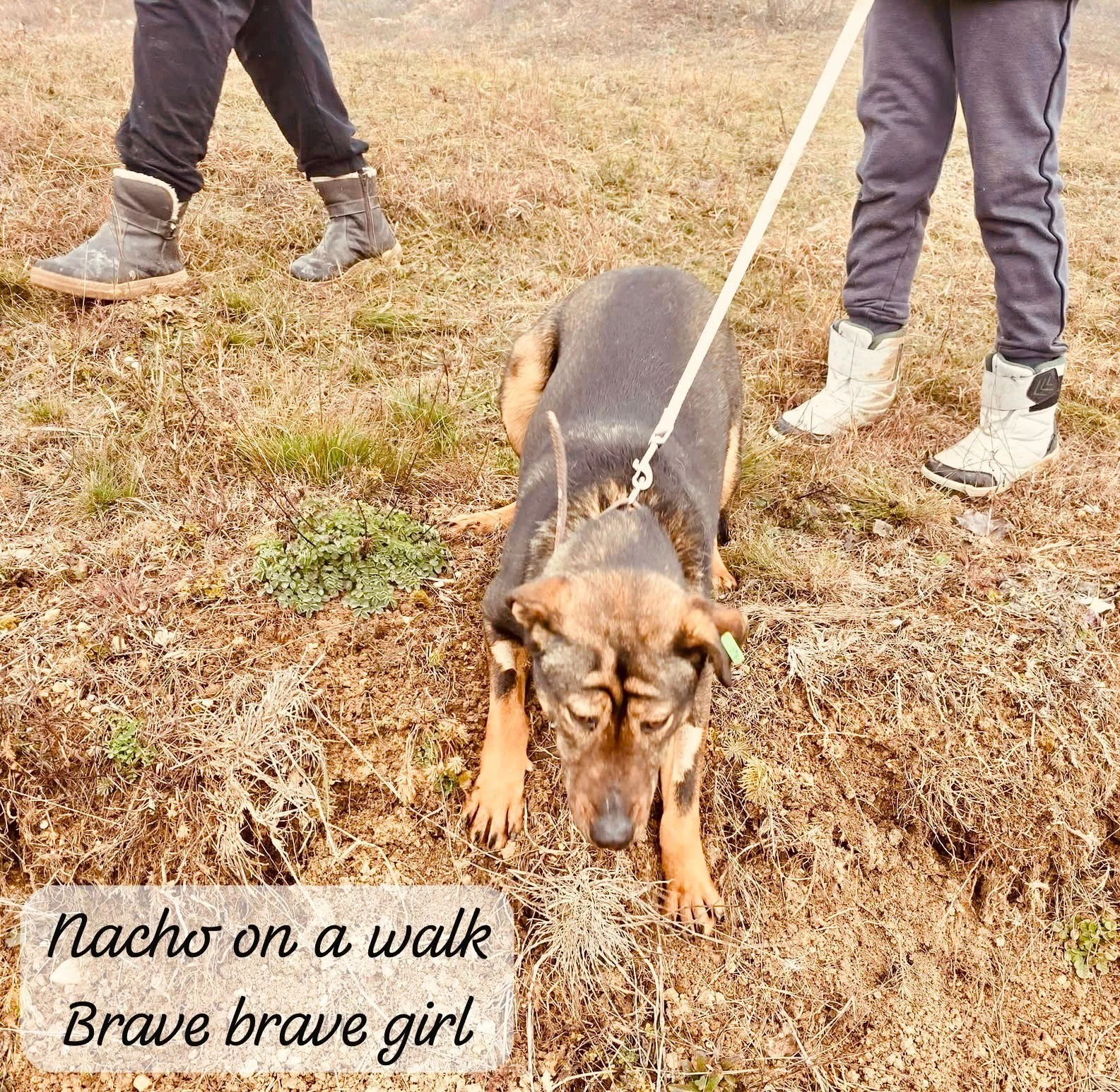 WhatsApp Image 2026-03-06 at 15.27.08.jpeg