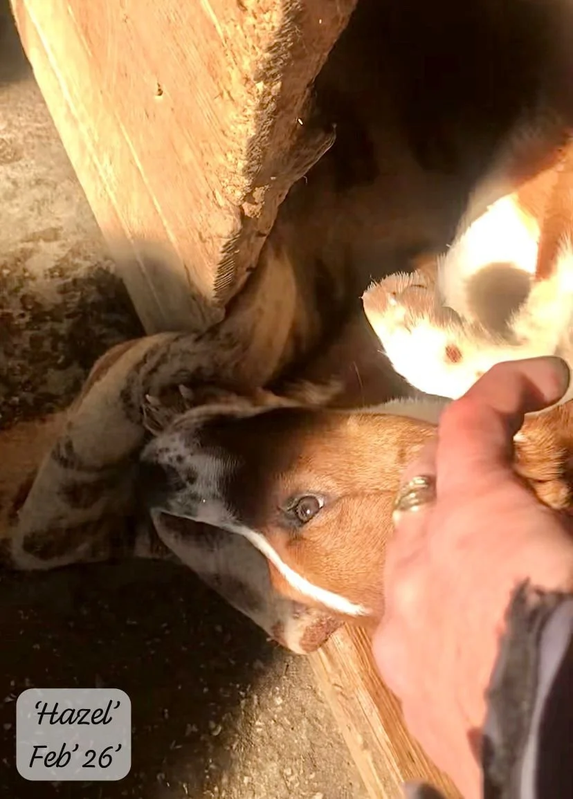 WhatsApp Image 2026-03-17 at 16.12.39.jpeg