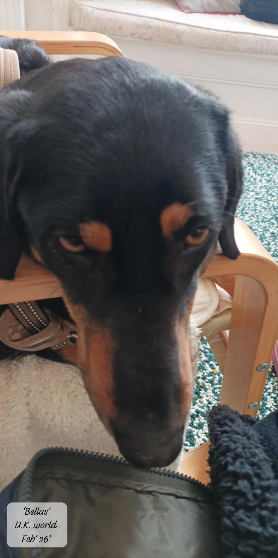 WhatsApp Image 2026-02-27 at 11.48.52 (3).jpeg