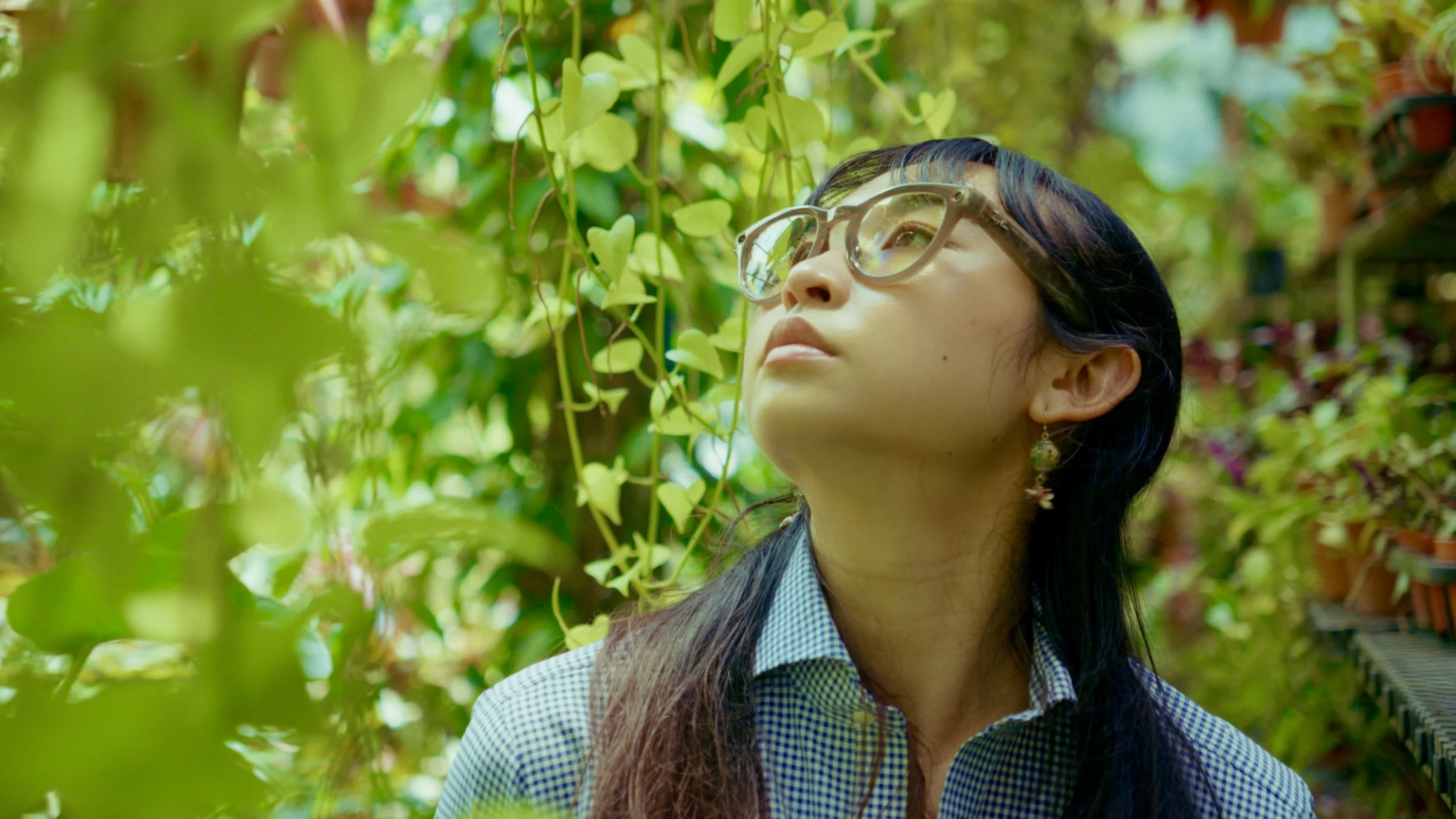 Screenshot 2025-05-26 at 16.41.26.jpeg