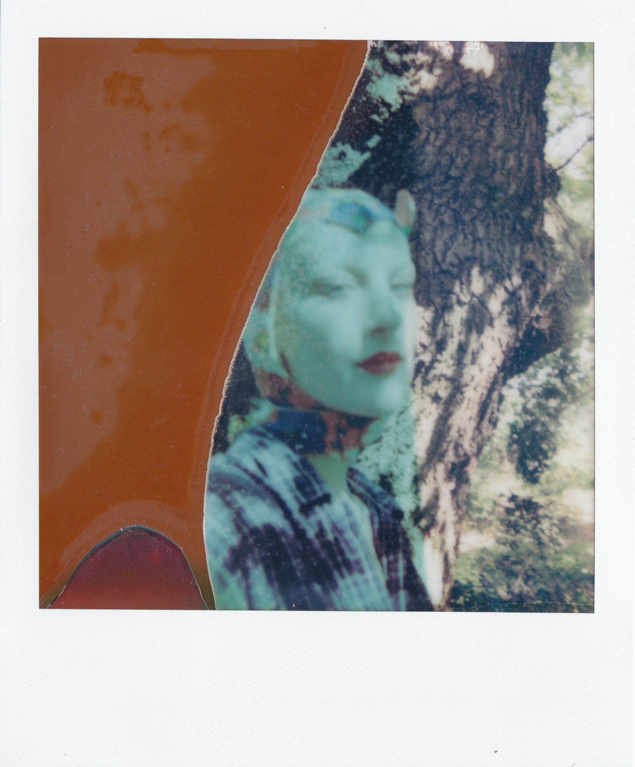 Bee+polaroid.png