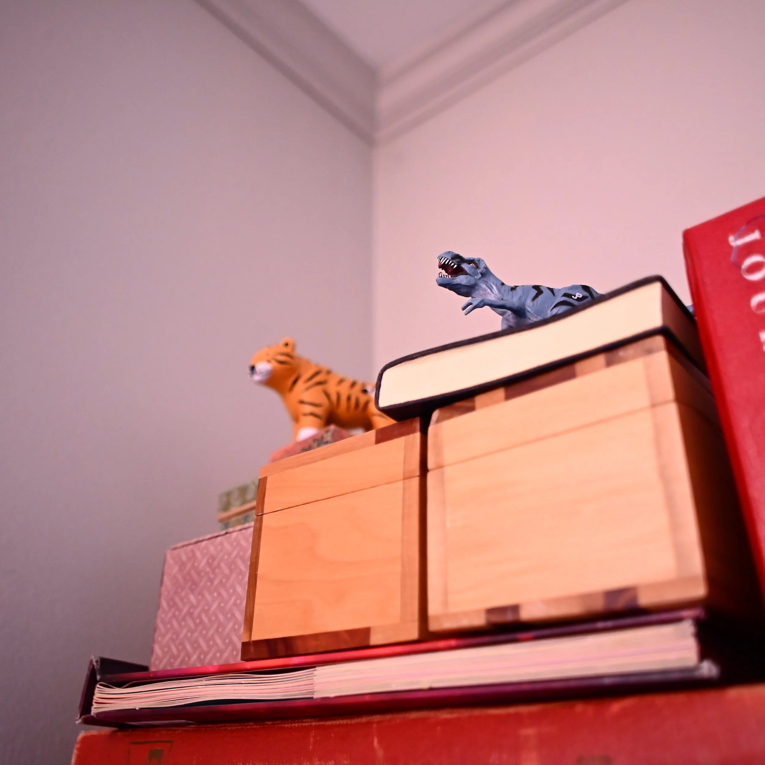 20251011_ABH_1389_Seth Studio Stuff Vintage Lens Square.JPG