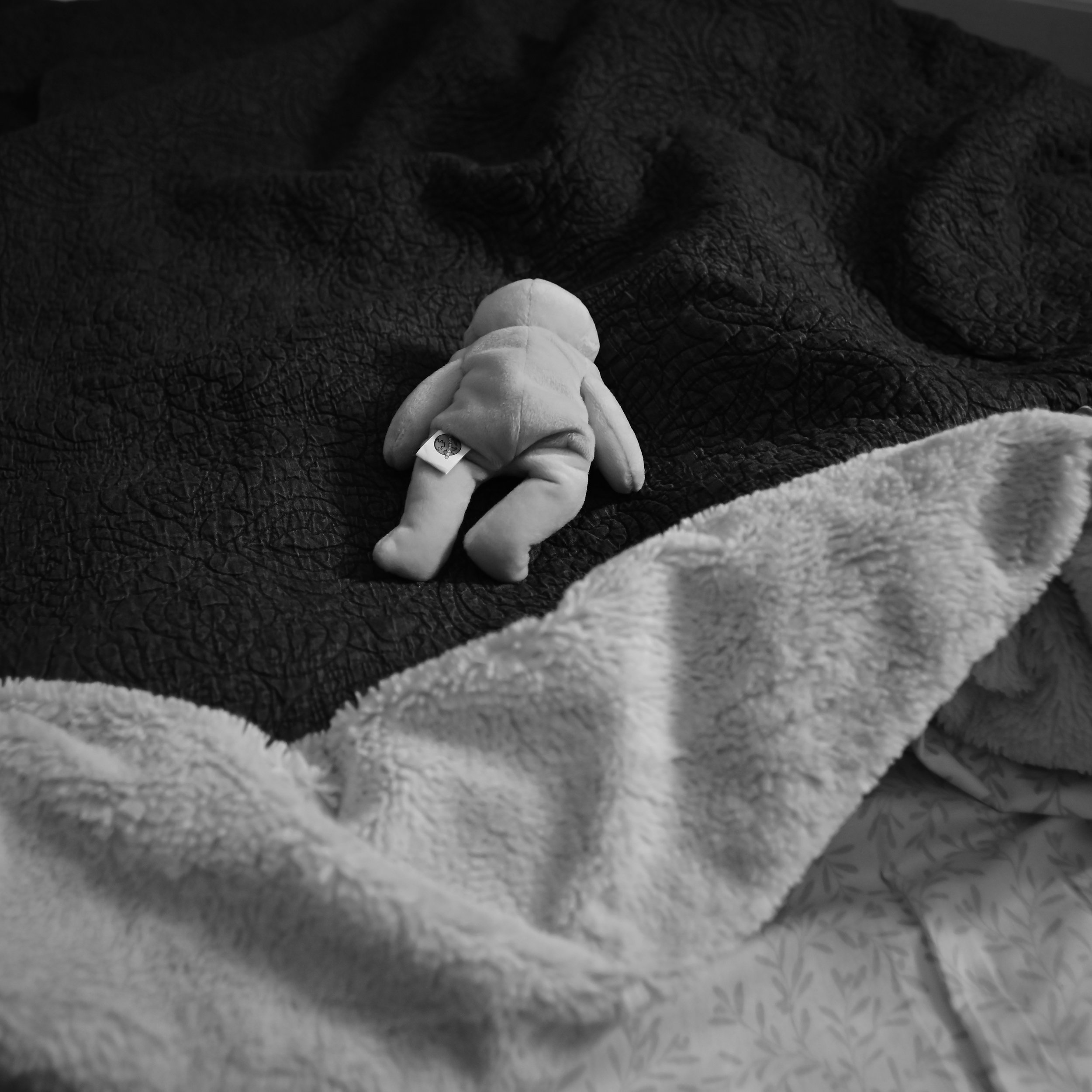 20251010_ABH_0912_Seth Studio Alien Vintage Lens BW Square.JPG