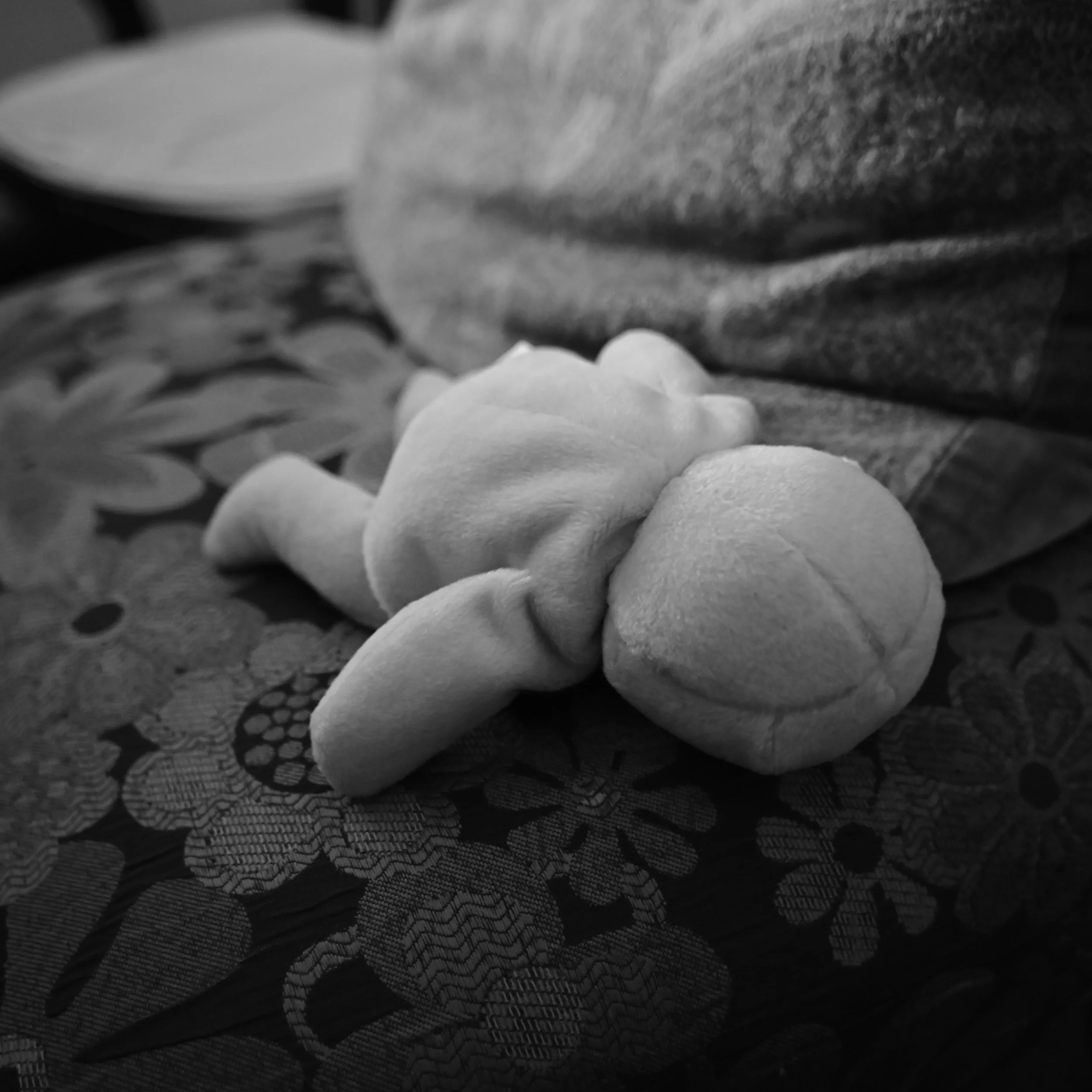 20251010_ABH_0883_Seth Studio Alien Vintage Lens BW Square.JPG