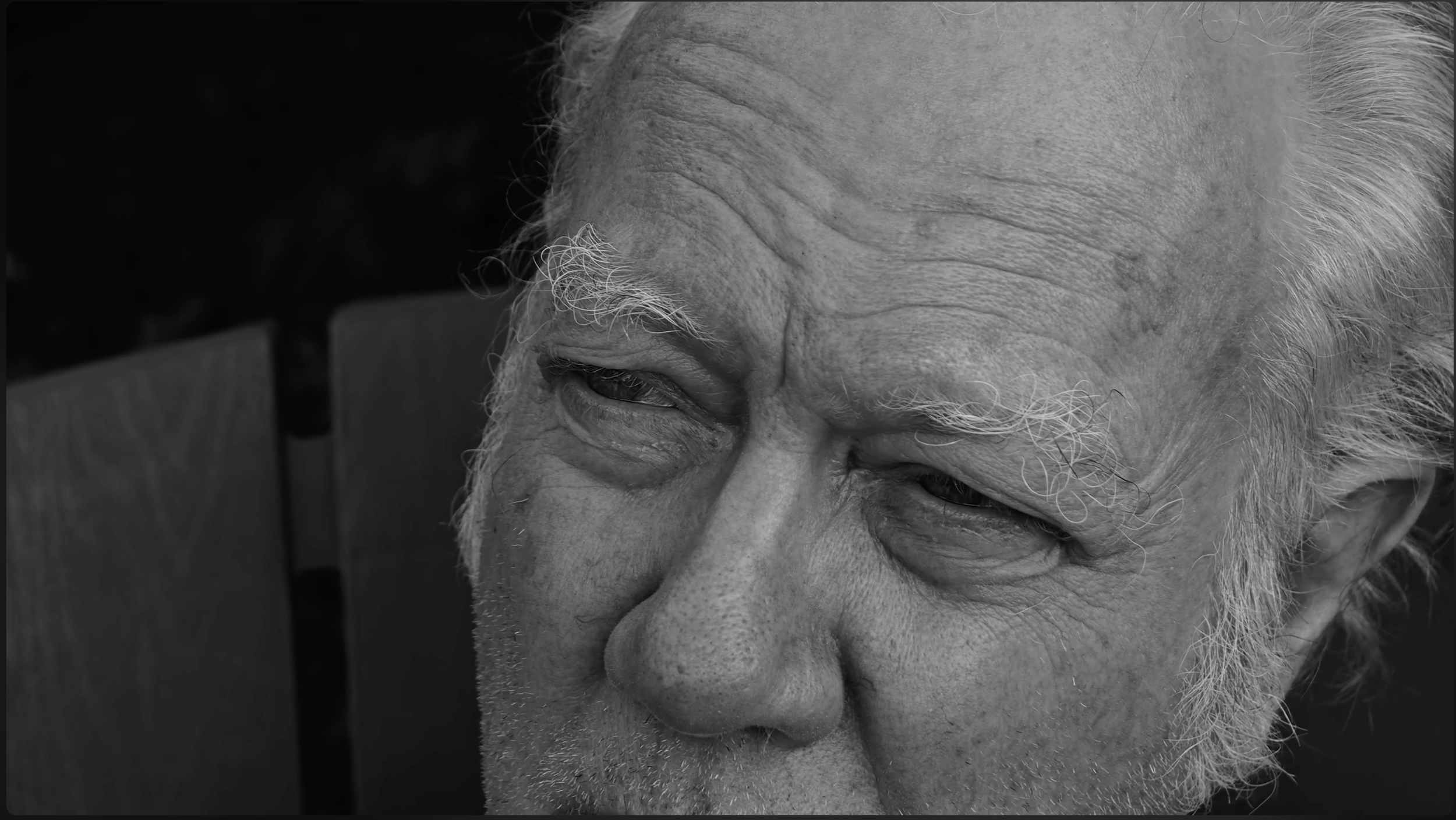 The Old Man & The Detective