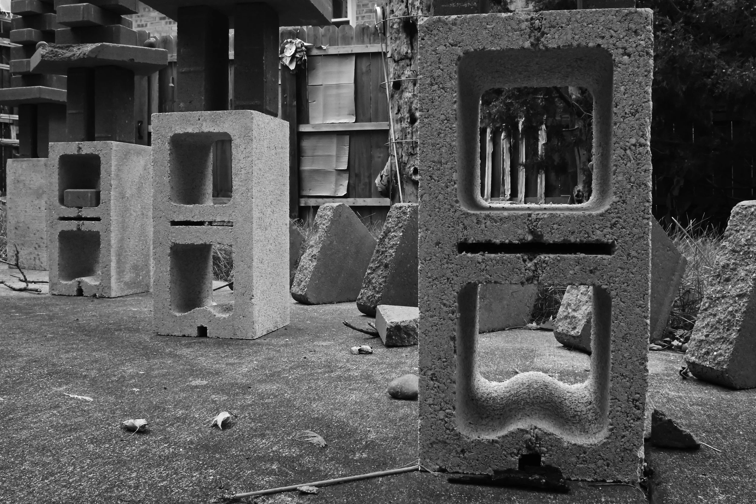 20251011_ABH_0981_Backyard Stuff BW Vintage Lens.JPG