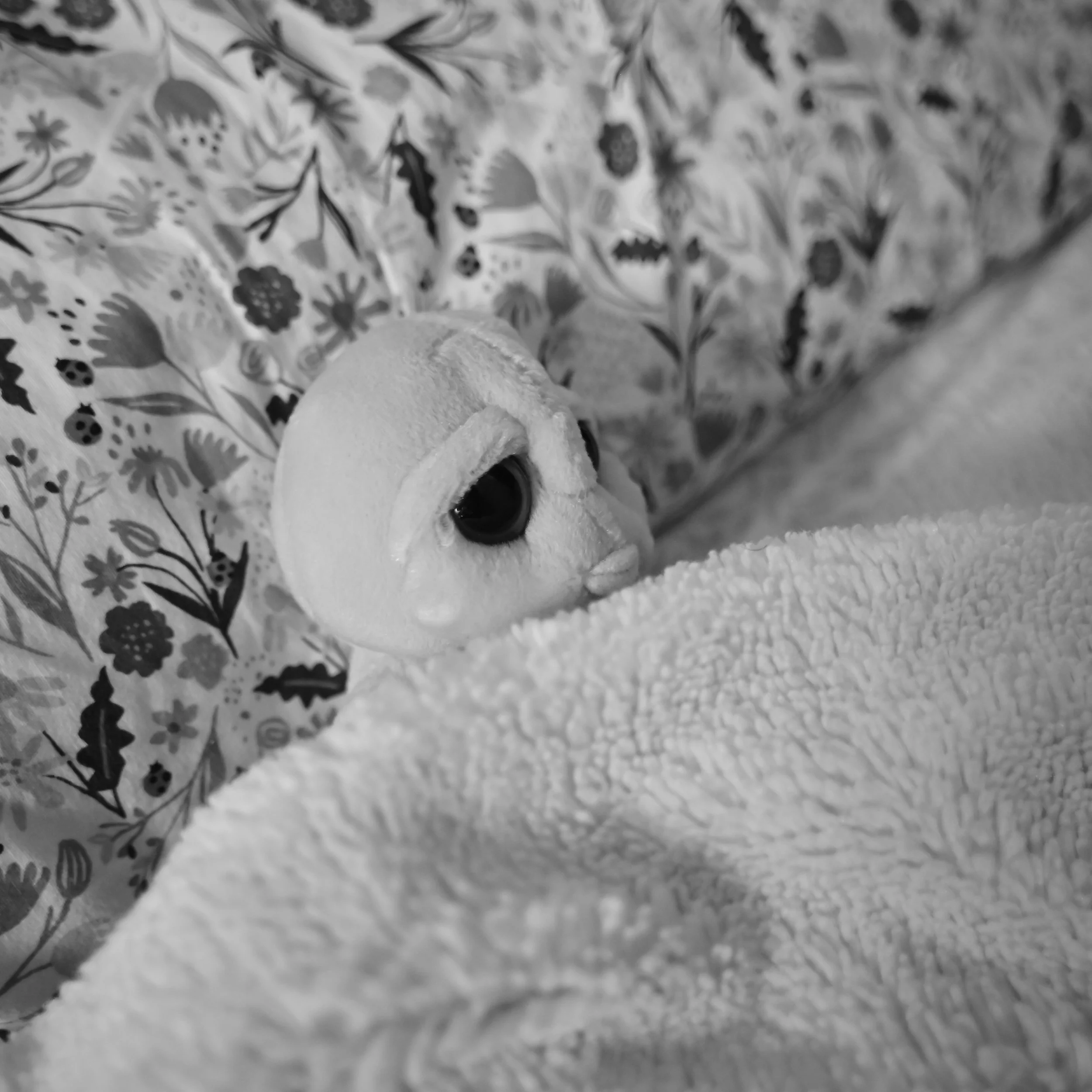 20251010_ABH_0889_Seth Studio Alien Vintage Lens BW Square.JPG