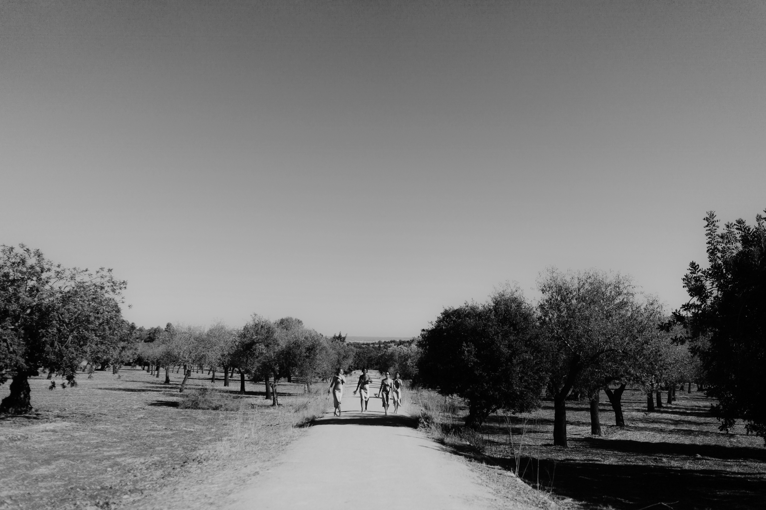 Four people walking along a dirt path through a park or rural area with trees on either side and open space in the background, under a mostly cloudy sky.