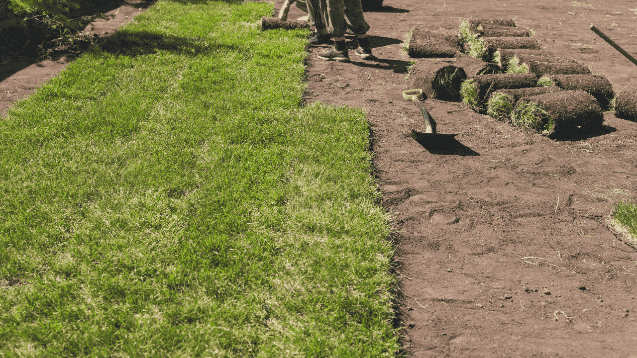 Untitled design - 2025-09-17T171436.405.png