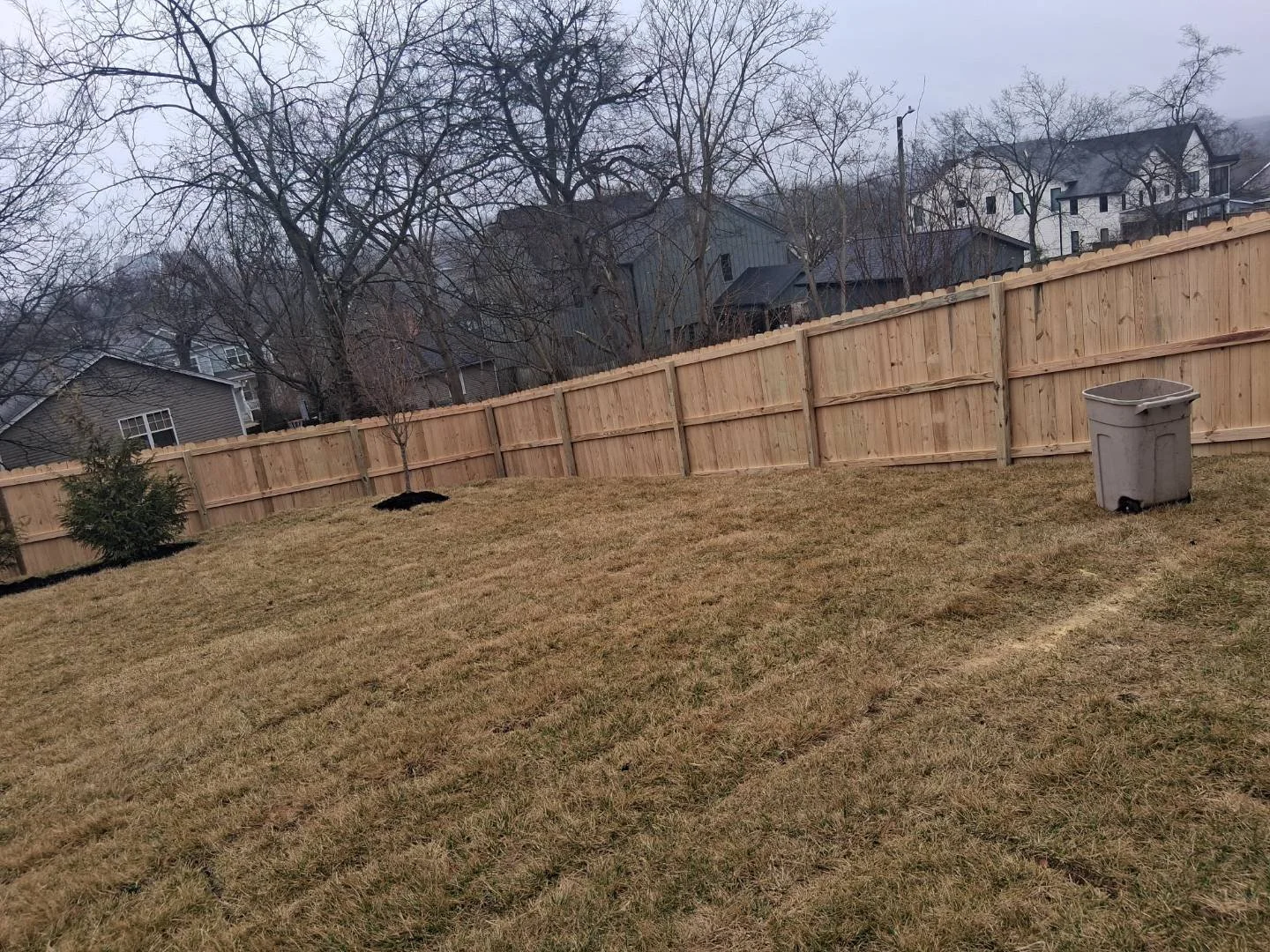A backyard with brown grass, a wooden fence, a small shrub, a leafless tree, and a gray trash bin, with several houses visible in the background, under an overcast sky.