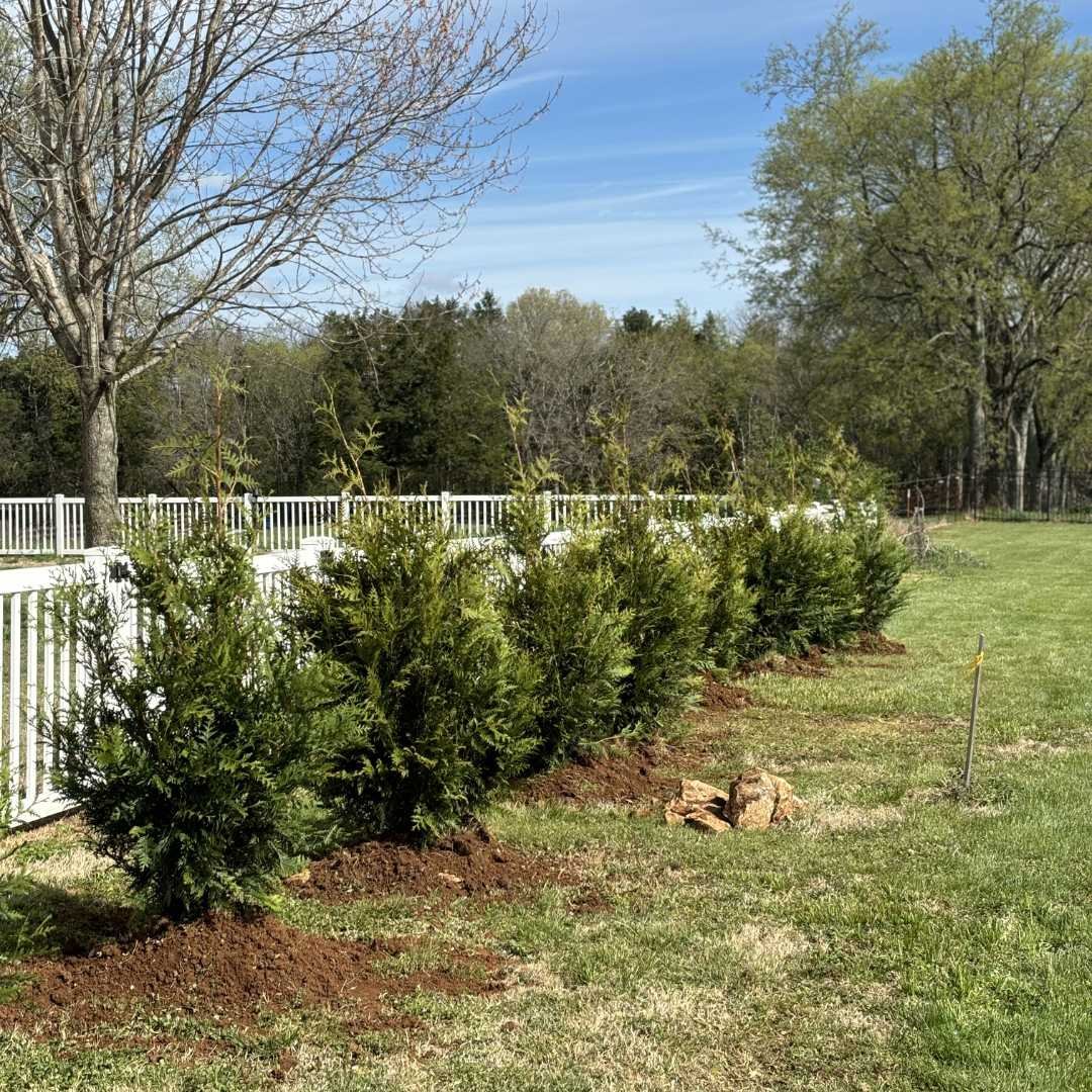 Untitled design (39).jpg