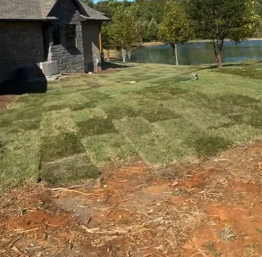 Completed sod installation in McMinnville, TN — smooth half-acre lawn with new grass laid beside the lake.