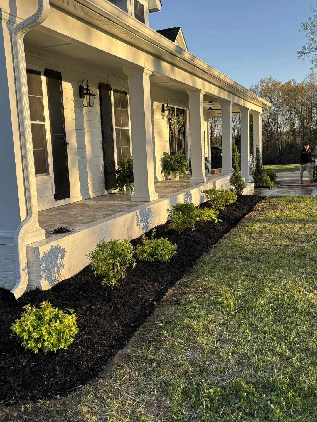 Foundation planting landscape design with boxwood shrubs and dark mulch along a front porch in Middle Tennessee
