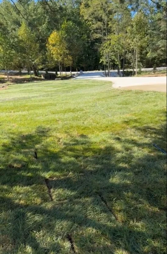 Finished sod installation in McMinnville, TN — freshly laid green grass creating a smooth, healthy yard.