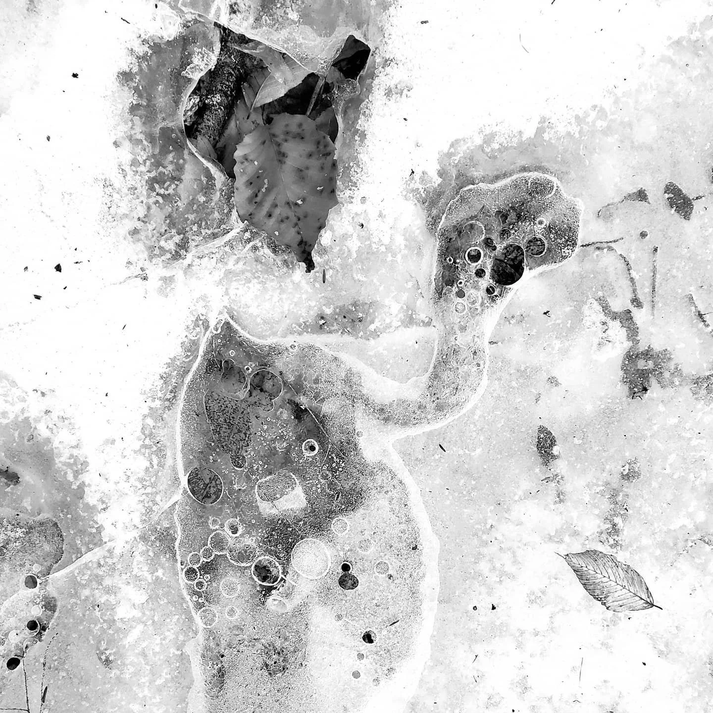 Street art. Gone fishin'. #ice #leaves #seethingsdifferently #earthart #dream #dreamscape #dreams #foundart #findart #nature_perfection #fiftyshades_of_nature #nature_wizards #ourplanetdaily #naturelover #shotwithlove #nature_brilliance #earthfocus #