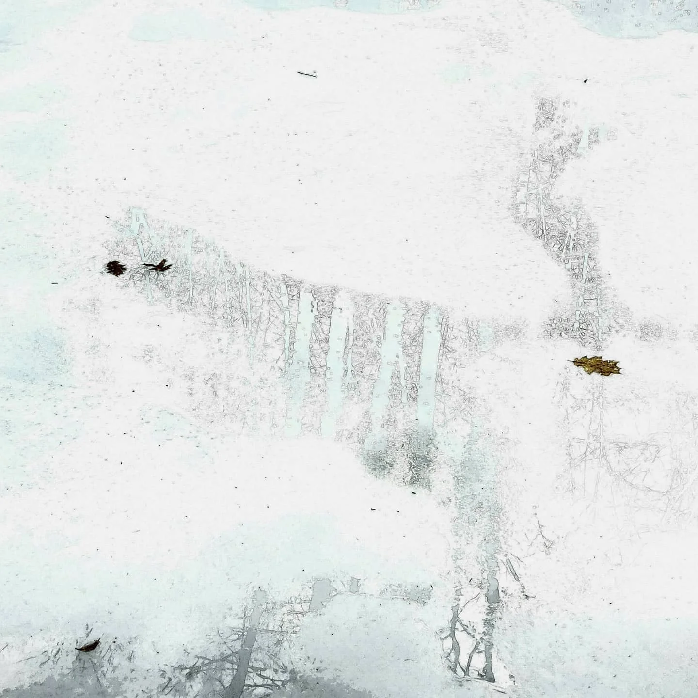 Big cat pounce. #ice #reflection #seethingsdifferently #earthart #dream #dreamscape #dreams #foundart #findart #nature_perfection #fiftyshades_of_nature #nature_wizards #ourplanetdaily #naturelover #shotwithlove #nature_brilliance #earthfocus #instan