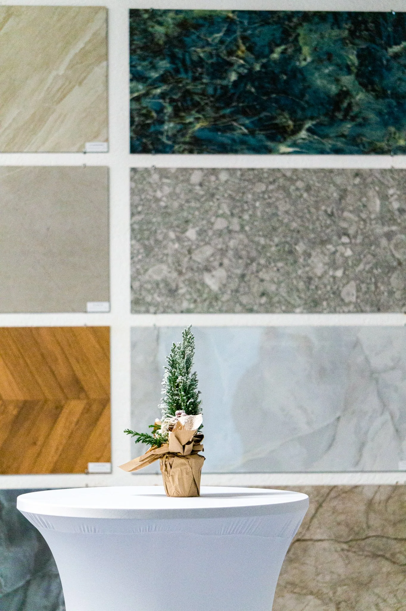 Kleine Pflanze in braunem Tontopf auf einem weißen, runden Tisch. Hintergrund besteht aus einer Wand mit verschiedenen großen Fliesenmustern. Aufgenommen von Hilal Studios.