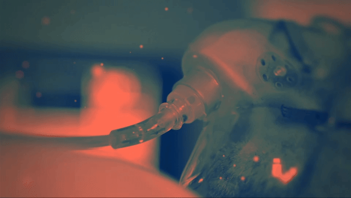 cepi-5.gif