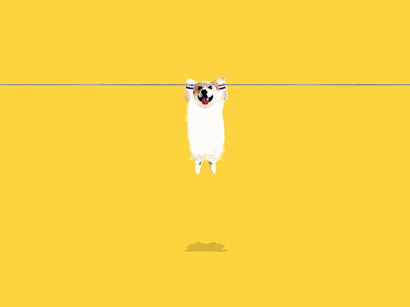 working-out-final-corgi.gif