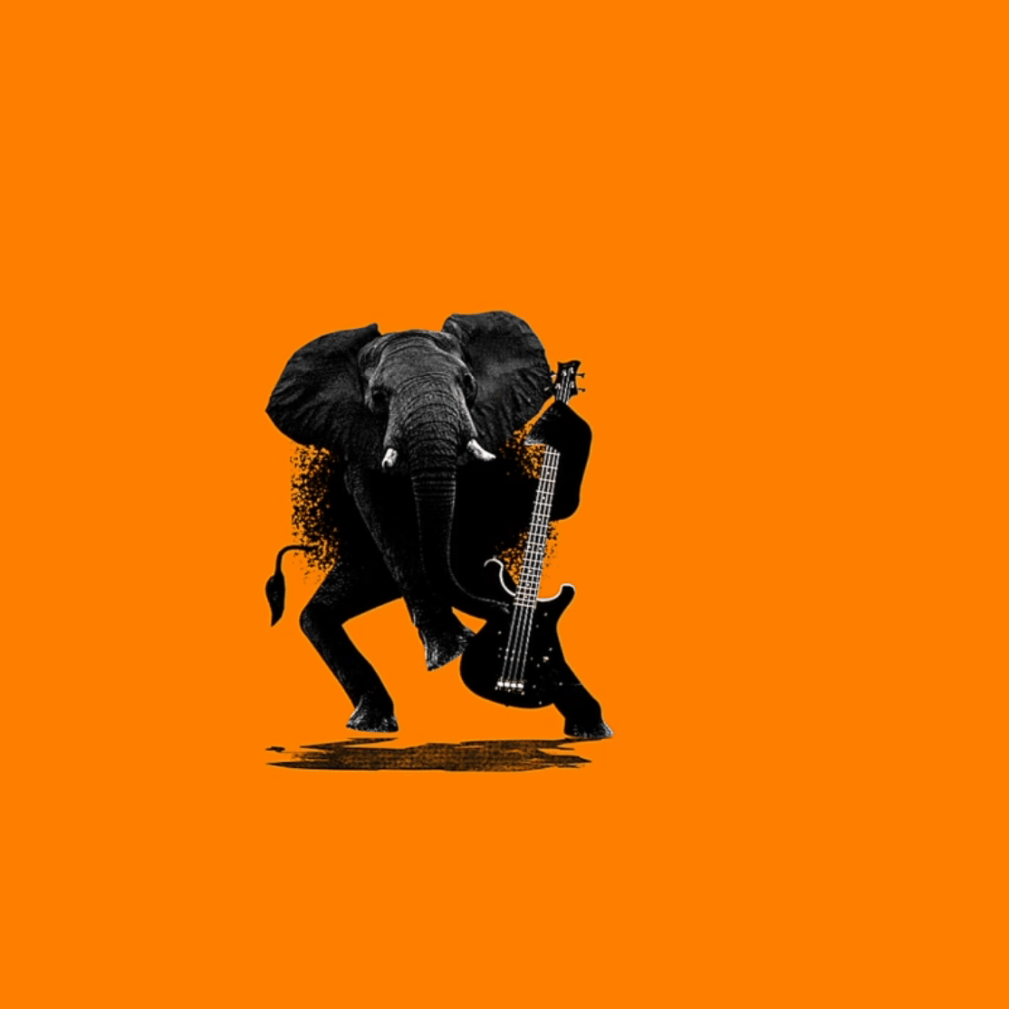 elephant-animate-final-final-16x10.gif